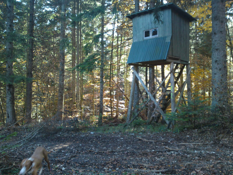 Lov i ribolov - Ekoselo Krš 