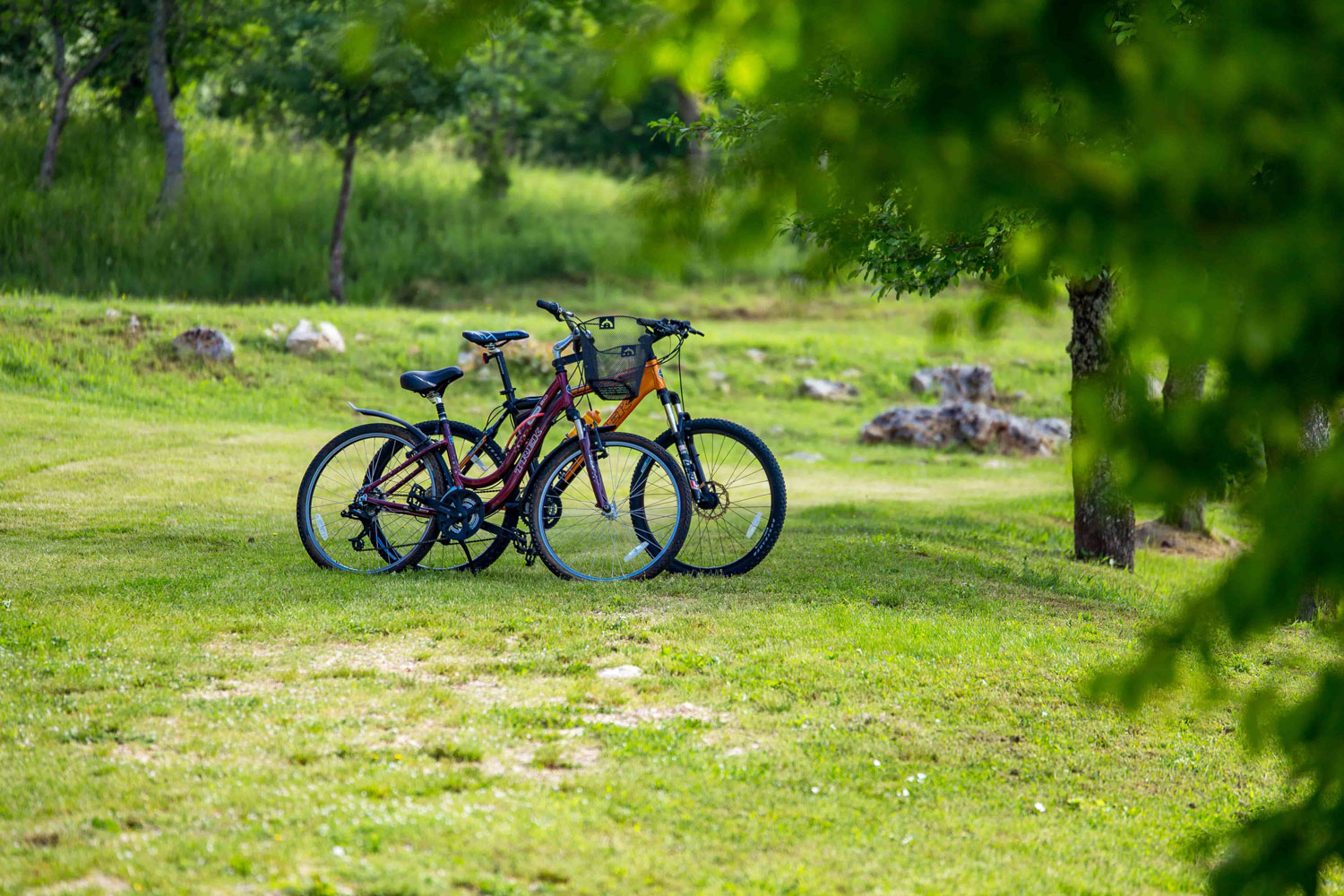 Vožnja biciklom - Ekoselo Krš 